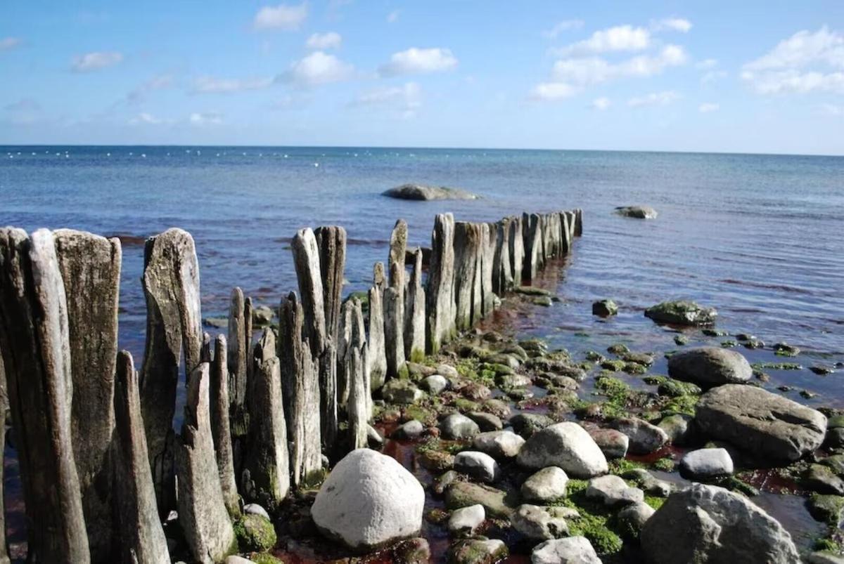 Seemoewe 1 Süssau Exteriér fotografie